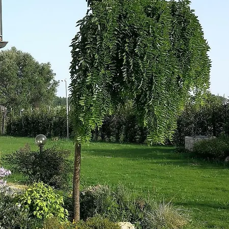 Leonardo's House *